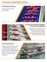 Automatische 12-14-kops multihead weegschaal fruitverpakkingslijn met doosafzetmachine en machine voor het vullen en verpakken van tomaten in trays