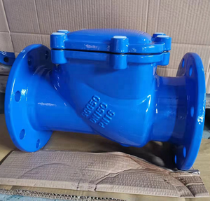 Ductile Iron Double Flange Swing Check Valve with EPDM/Rubber <b>Seals</b> for Water Normal to High Temperature DN50-DN600 - Product Image 1