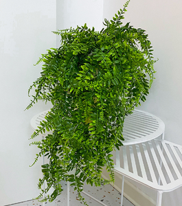 Feuilles de fougère persane artificielles de 78 cm, décoration murale en plastique, guirlande suspendue <span class=keywords><strong>pour</strong></span> mariage, fête, <span class=keywords><strong>balcon</strong></span>, décoration de chambre, mur végétal - Product Image 4