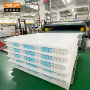 Glue Free Pocket Coil <strong>Spring</strong> Making for Durable King Size Bed Mattress Full Cushion Tatami Sofa Pillow Steel Material Furniture - Product Image 6