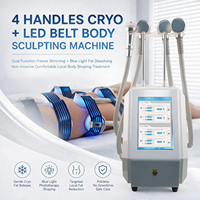 Appareil de Cryothérapie Professionnel avec Globes de Glace et Analyseur Intelligent de Peau pour le Remodelage Corporel et les Soins SPA