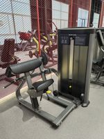 Machine professionnelle haut de gamme pour curls et extensions des jambes avec pile de poids de 100 kg pour l'entraînement physique commercial
