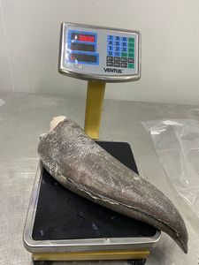 Mermelada Patagónica o Lubina Chilena HGT Producto Pescado Premium - Product Image 3