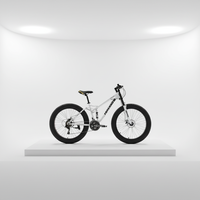 Vélo tout-terrain Tidal Explosions pour adultes, cadre en acier carbone, frein à disque super large 4.0, pour homme et femme, adapté à la plage, à la neige et aux montagnes