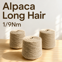 Fil à tricoter et à crocheter professionnel en peluche épaisse, chaud et doux, style alpaga à poils longs 1/9 Nm, en stock chez le fournisseur