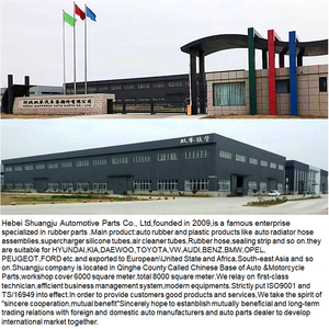 <span class=keywords><strong>Tubi</strong></span> <span class=keywords><strong>Flessibili</strong></span> in Gomma <span class=keywords><strong>per</strong></span> Radiatore Auto, Componenti Motore <span class=keywords><strong>per</strong></span> Auto BMW, Tubo <span class=keywords><strong>per</strong></span> Liquido di Raffreddamento - Product Image 5