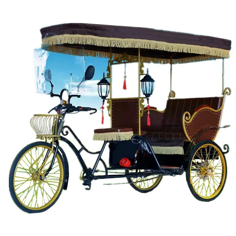 새로운 디자인 여객 수송 세발자전거 전기 인력거 3 바퀴 택시 Pedicab 인력거 제조자