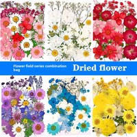 G151 Nouvelle arrivée Fleurs naturelles séchées pressées colorées botaniques pour le bricolage en résine Nail Art Wedding