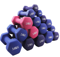 Haltères roses à usage domestique haltères en néoprène pour la musculation du fitness pour femmes haltères hexagonaux revêtus de fer à tremper