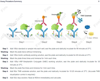 Kit ELISA CTn-I/TNNI3 rapide FineTest réactifs de dosage de la troponine cardiaque I pour la recherche scientifique Services chimiques personnalisés