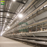 Cage à volaille automatique de type H avec système d'élimination du fumier abreuvoir et mangeoire pour poules pondeuses et poulets de chair État neuf