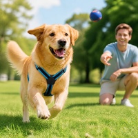 Harnais pour chien réfléchissant en nylon de style H, avec boucle à dégagement rapide, rembourré, bicolore, pour la promenade