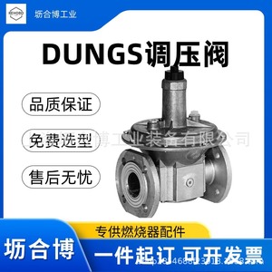 Vanne de réduction de pression authentique Dungs FRS5080, vanne de régulation de pression de gaz Dungs DN65 à bride 500 mbar - Product Image 3