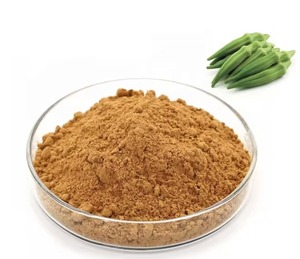 Sức khỏe tự nhiên hữu cơ Đậu bắp chiết xuất hạt bột mỹ phẩm Polysaccharide 10:1 khô đậu bắp chiết xuất - Product Image 1