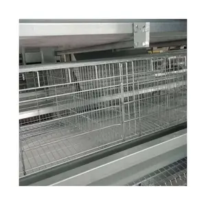 Pullet gabbia per polli sistema di allevamento automatico attrezzature per allevamento di pollame per piccoli pulcini grande fattoria