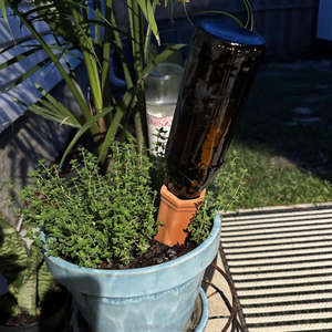 Dispositivos de Riego Automático RZF de Terracota Natural, 2 Diámetros, Púas de <span class=keywords><strong>Autorriego</strong></span> <span class=keywords><strong>para</strong></span> Plantas, Riego <span class=keywords><strong>para</strong></span> Jardín y <span class=keywords><strong>Vacaciones</strong></span> - Product Image 4