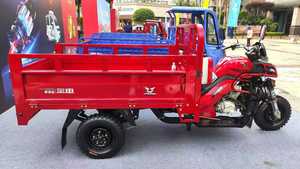 2024 phong cách mới ba bánh Moto Hàng hóa 300cc Bánh Xe Tải rikshaw gas trang trại xe - Product Image 6