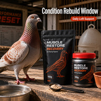 Électrolytes Premium pour Pigeons de Course : Réhydratation Rapide, Récupération Post-Compétition et Réparation Musculaire – Marque Privée, Source OEM, Laboratoire