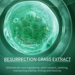 <span class=keywords><strong>Selaginella</strong></span> <span class=keywords><strong>Lepidophylla</strong></span> & Cactus Masque hydratant à l'eau éclatante - Product Image 4