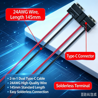 Connecteur USB-C double parallèle LN-02, prise TYPE-C, charge 2 câbles