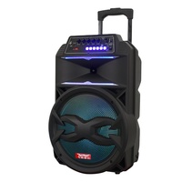 Enceinte de sonorisation sans fil portable avec haut-parleur de basses, modèle privé pour DJ, home cinéma et soirées, avec Bluetooth, LED et support, 12 pouces