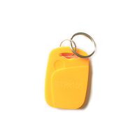 Porte-clés NFC personnalisé en ABS, programmable passif, MIFARE Desfire EV1 2K, étiquette RFID