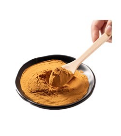 Polvo para la salud, cola <span class=keywords><strong>de</strong></span> pavo, Coriolus <span class=keywords><strong>Versicolor</strong></span>, polvo <span class=keywords><strong>de</strong></span> hongos para alimentos, cola <span class=keywords><strong>de</strong></span> pavo, Trametes <span class=keywords><strong>Versicolor</strong></span>, polvo <span class=keywords><strong>de</strong></span> micelio - Product Image 2