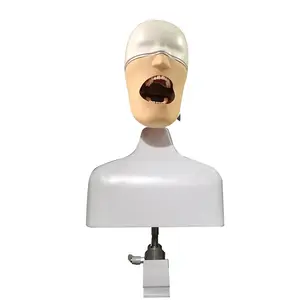 China Supplier Dentist Simulator Head Senior Manikin With Clamp Fixed On Table