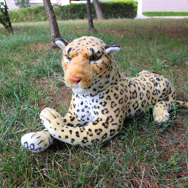 Japaneseプレイヤーの販売 オンラインショッピング チーター動物 Alibaba Comでのjapaneseプレイヤーの販売