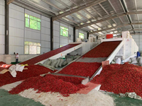 Salle de séchage SC-HP800 à pompe à chaleur à haute température-Multi-usages pour herbes, fruits de mer et fruits, entretien à vie