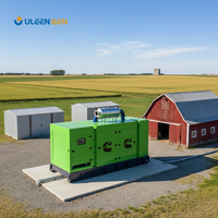 Générateur Diesel Silencieux Cummings Weichai 20kVA 25kVA 100kVA 200kVA 300kVA 1100kW 1250kVA Type Ouvert Puissance de Base pour Usage Industriel EXW