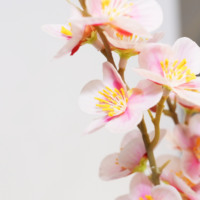 Fournisseur direct d'usine – Fleurs artificielles classiques en caoutchouc, plastique et tissu mélangés, motif fleur de prunier, pour mariage, Noël, remise de diplôme, faites à la main, à prix réduit
