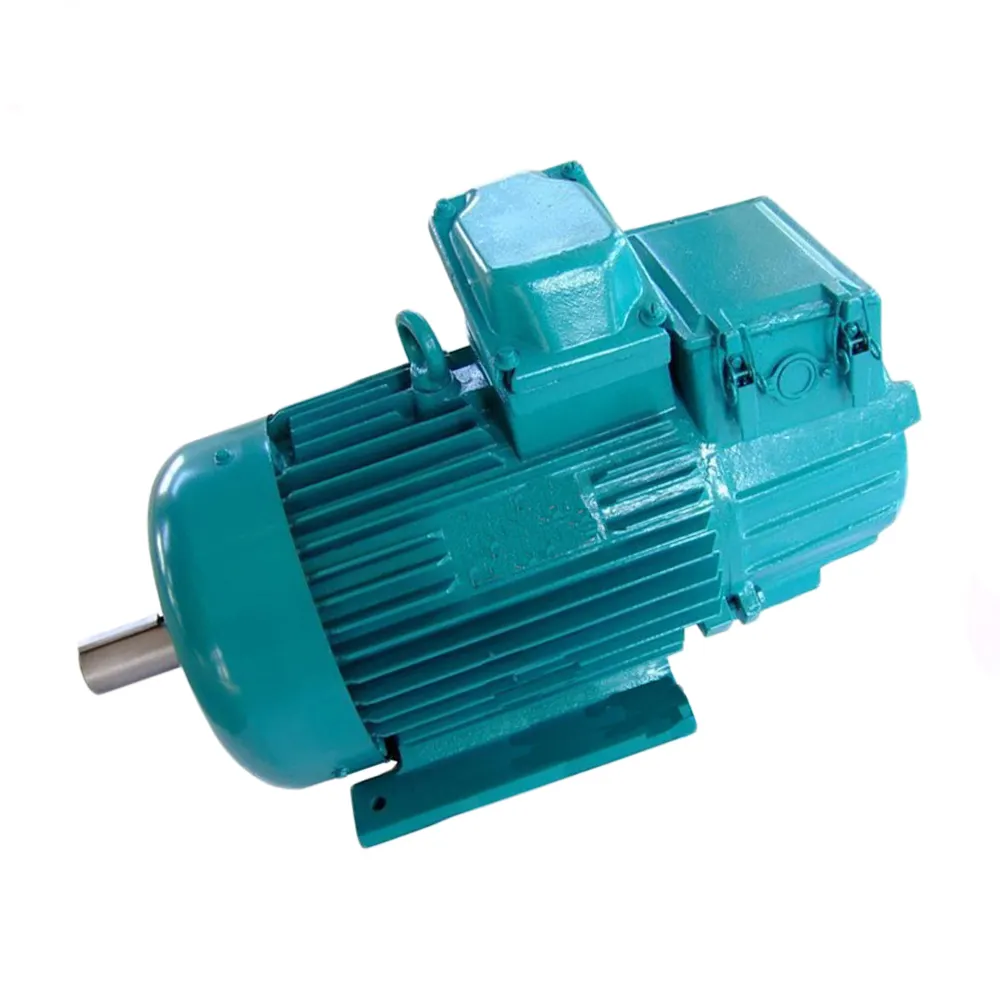 YZR 55 kw 600 rpm elektrische ac 3 phase motor
