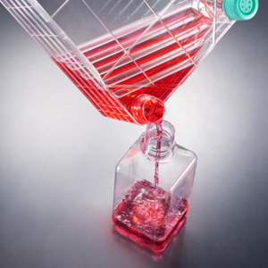 Ikeme Laboratorium Levert Weefselkweek Laboratoriumapparatuur Celkweeksysteem Meerlaags Steriele Plantenweefselkweekfles - Product Image 3