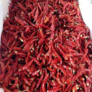 Cabai Merah Kering Pedas Utuh Cabai Merah India Cabai Kering Hancur untuk Kebutuhan Pengolahan Makanan Siap untuk Semua Spesifikasi - Product Image 6