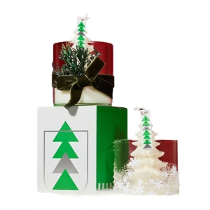 <span class=keywords><strong>Bougies</strong></span> parfumées faites à la main en forme d'arbre en cire de soja avec logo personnalisé <span class=keywords><strong>Bougies</strong></span> parfumées faites à la main Home Party <span class=keywords><strong>Deco</strong></span> New Year Gift pour Noël - Product Image 2