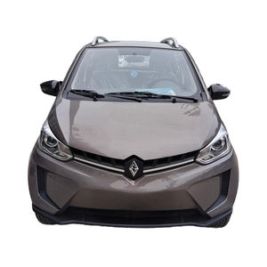 Mini Auto Eléctrico NE para Adultos con Volante a la Izquierda, Motor de 3000W, Batería de 120-200AH, Autonomía de <100km, Vehículo de Nueva Energía de China - Product Image 1