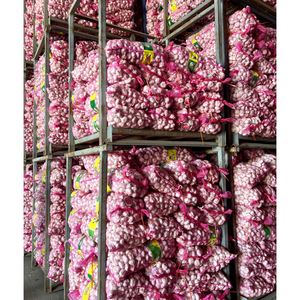 Bán buôn Chất lượng cao mới rau tươi tỏi với giá rẻ - Product Image 6