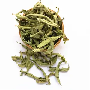 Ma Bian Cao High Quality Natural Dried Lippia Leaves Lemon Verbena For Tea
