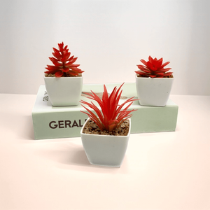 <span class=keywords><strong>Planta</strong></span> Artificial de <span class=keywords><strong>Echeveria</strong></span> de Plástico Mini Bonsái, Moderna, Ecológica, de Alta Calidad, Tacto Real, Superventas 2023 - Product Image 2