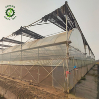 Film d'acier galvanisé à chaud moderne/revêtement de serre/serre à film plastique agricole avec système hydroponique à vendre