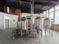 Mini Système de Brassage Domestique en Acier Inoxydable 304/316 50L 100L 200L Équipement de Microbrasserie Haute Performance avec Conception CAO/3D Avancée et Pression Optimisée