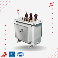 Transformateur CE pour certifié 10KVA 400Kv haute immergé dans l'huile Garantie de 2 ans 110V 220V 220V Bobine environnementale verte 50Hz