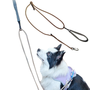 Tali Kekang Anjing Multifungsi 4-in-1 dengan Pegangan Berlapis Neoprena dan Tali Pengikat yang Dapat Disesuaikan - Product Image 1