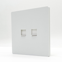 Prise murale combinée pour réseau informatique et téléphone, avec panneau lisse en bronze phosphoreux et cadre en acier, A6 B1