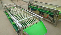 Automatische Appelsortering Aardappeldata Bosbessen Fruit Sorteermachine