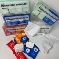 Serviettes compressées pour voyage en plein air, en fibres végétales, extra-larges, épaissies, lingettes jetables pour le visage, emballées individuellement
