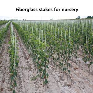 Tuyaux d'arche de serre en fibre de verre haute résistance résistants aux UV avec service de découpe, longueur et diamètre personnalisés, qualité industrielle - Product Image 4