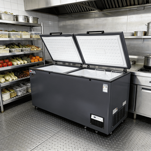 Congélateurs à <span class=keywords><strong>coffre</strong></span> grand format à refroidissement direct sans givre <span class=keywords><strong>en</strong></span> vente avec double compresseur - Product Image 1