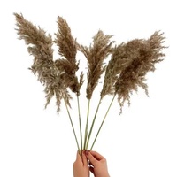 Dekorasi Festival pesta pernikahan baru bunga kering Pampas alami rumput untuk rumah kantor musim panas Flora untuk Hari Ibu Paskah